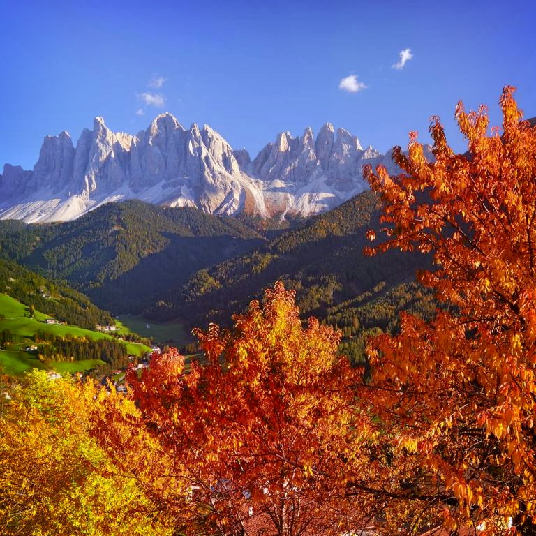 Titelbild für Goldener Herbst in Südtirol